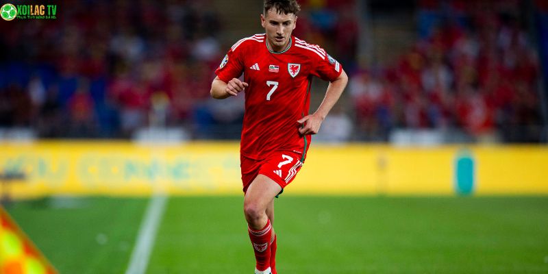 Wales Vs North Macedonia: Nhận Định Ngày 19/11 7 Wales vs North Macedonia: Chiến thuật pressing đỉnh cao Rồng Đỏ